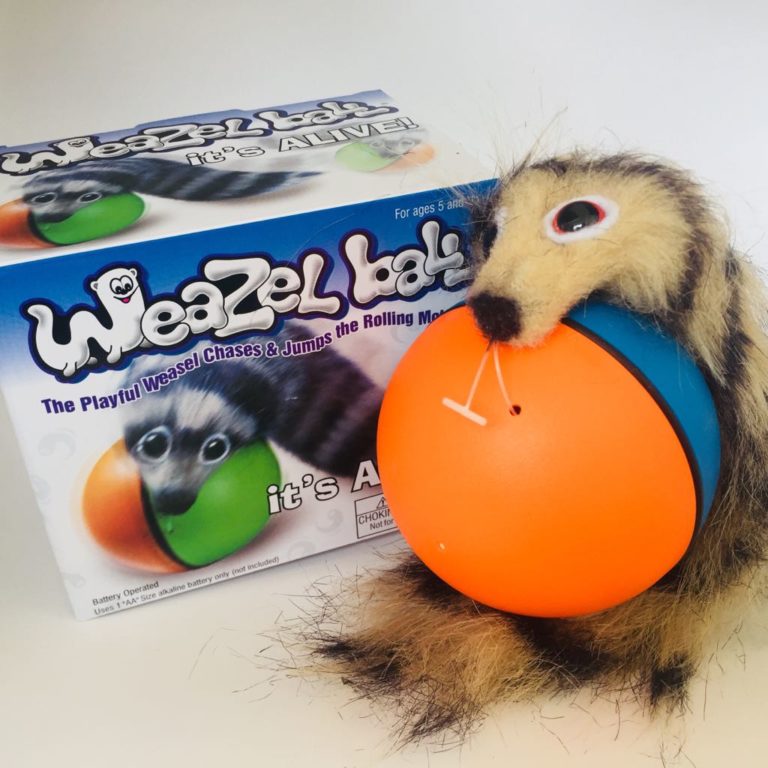 WEAZEL BALL RUn Dev. & Shop